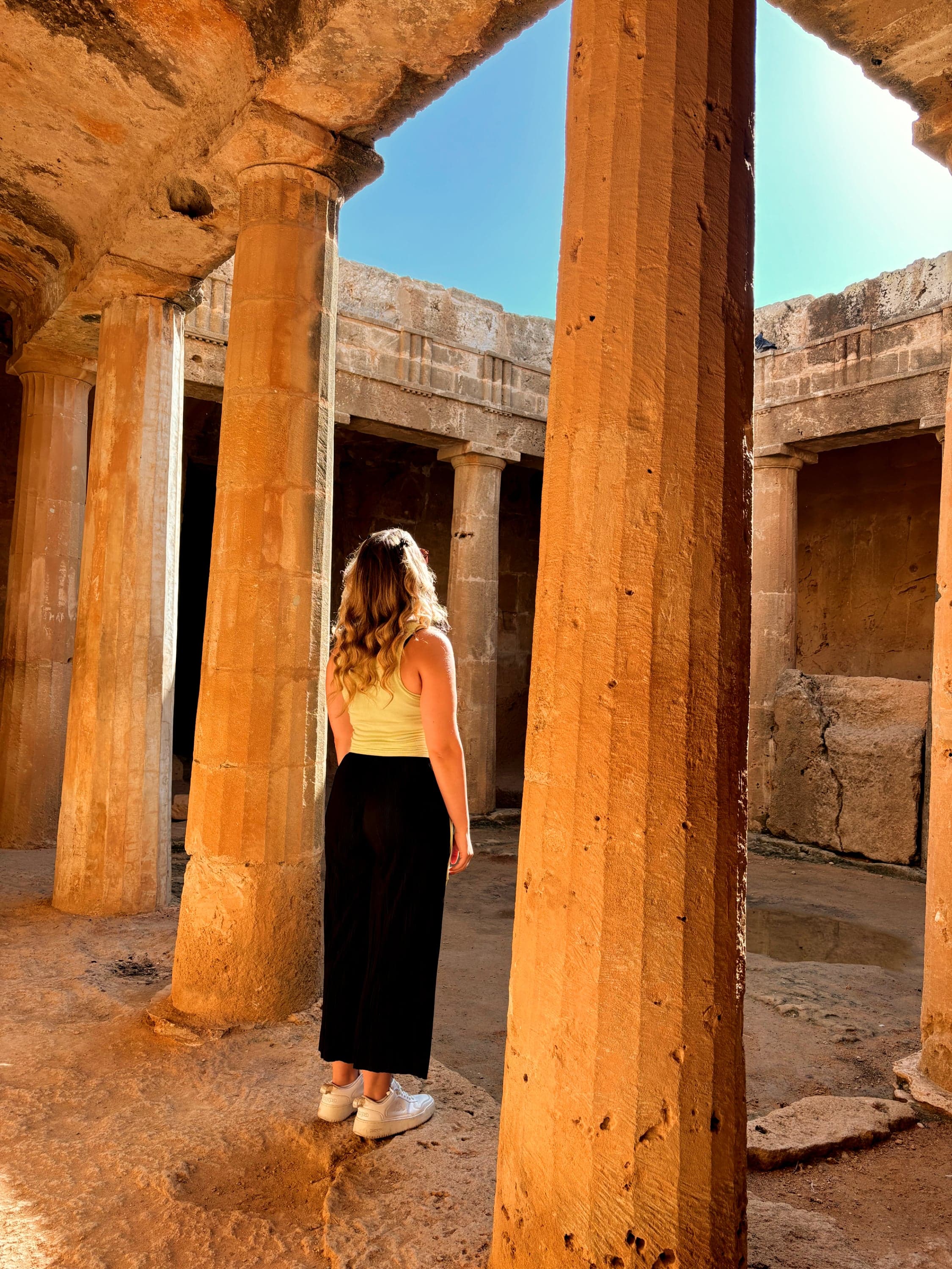 Insights into our Erasmus courses