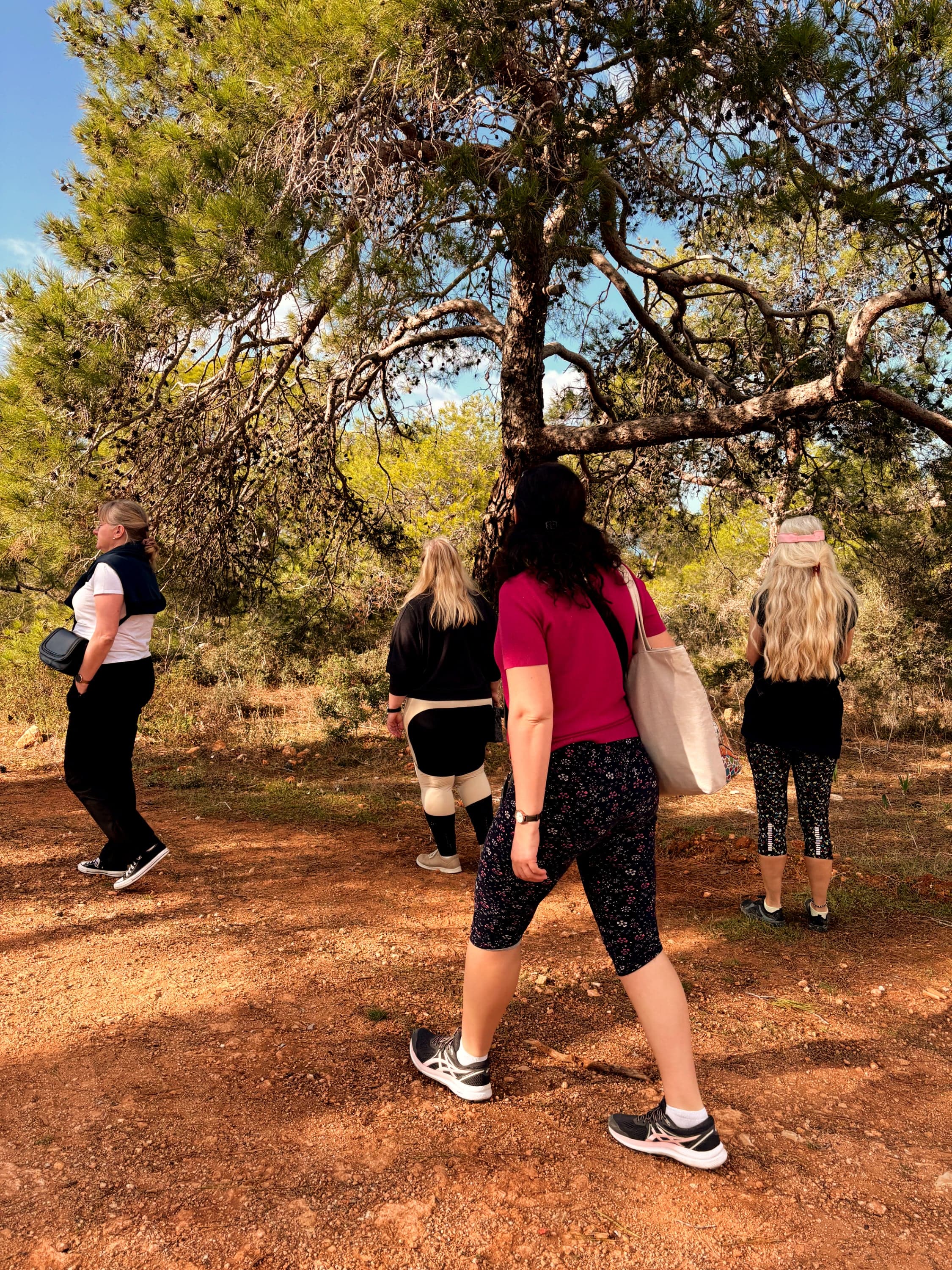 Insights into our Erasmus courses